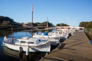 JS Alcudi Mar JS Alcudi Mar