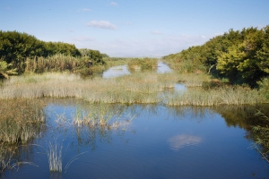 JS Alcudi Mar JS Alcudi Mar