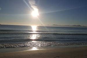 JS Alcudi Mar JS Alcudi Mar