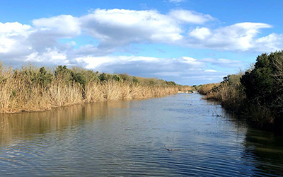 albufera-de-mallorca2 albufera-de-mallorca2