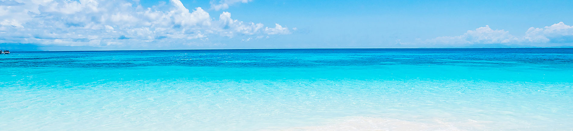 Tropical beach Tropical beach