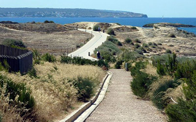 escartagne escartagne