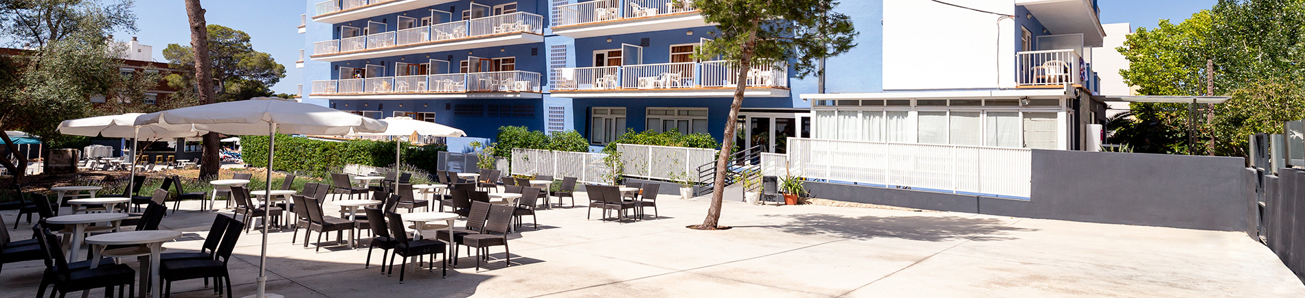 2019_PARADISE_terrace-(12) 2019_PARADISE_terrace-(12)