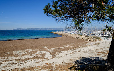JS Paradise Beach JS Paradise Beach