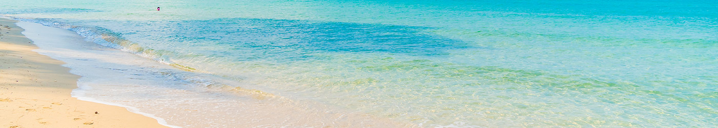 JS Paradise Beach JS Paradise Beach