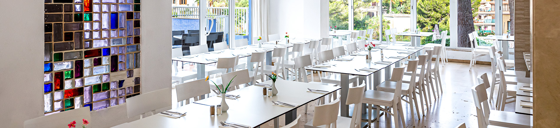 header-gastronomia-paradisebeach header-gastronomia-paradisebeach